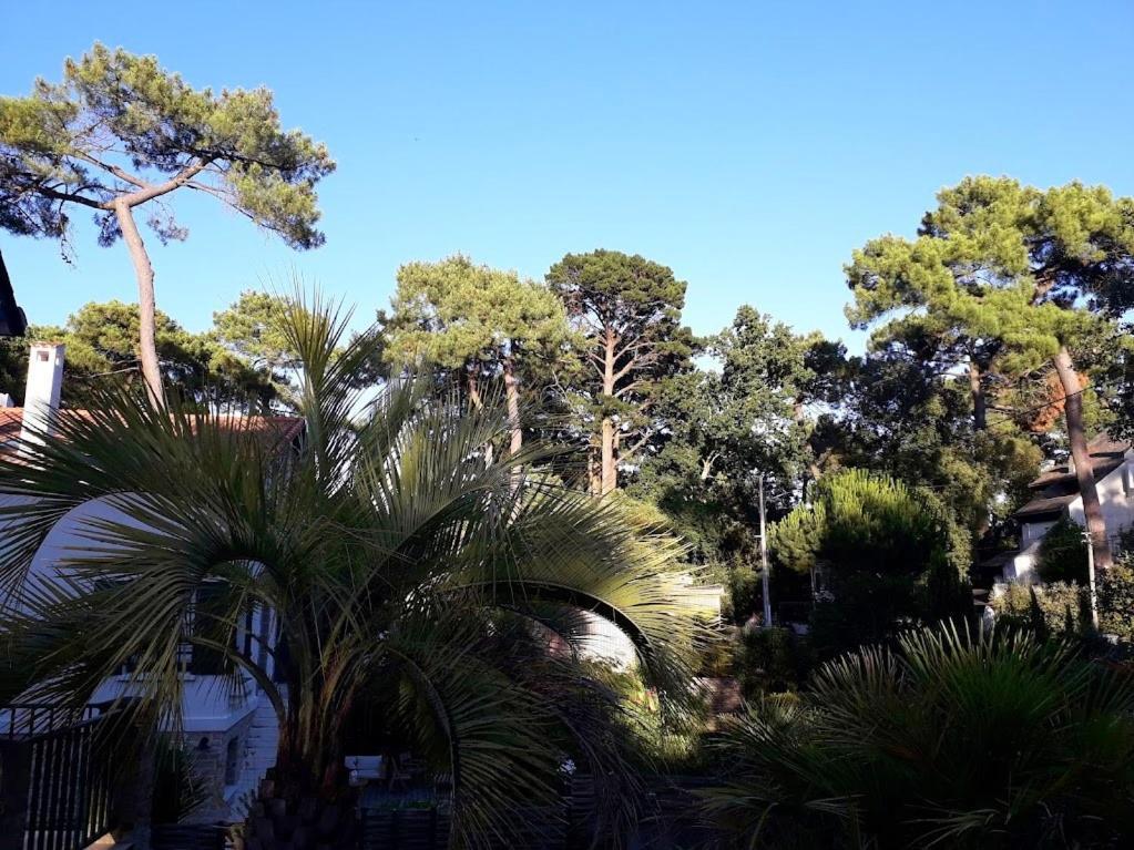 Belle De Dune La Baule Kültér fotó